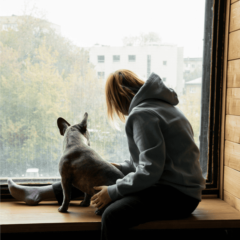 Loss of your Pet - a Furry Family Member