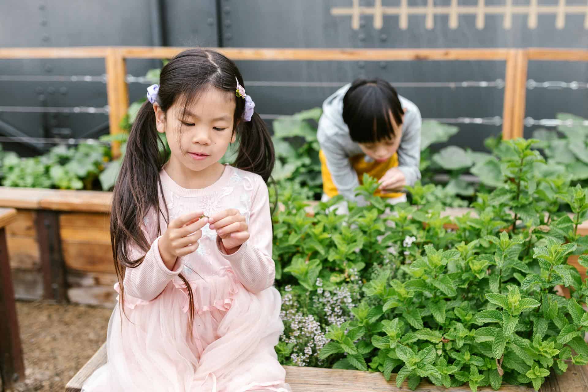 Two children exploring a garden, with one girl calmly observing a plant and another child picking herbs in the background an example of mindful outdoor activity for kids with ADHD.