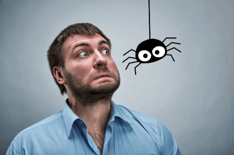 Fear of Spiders