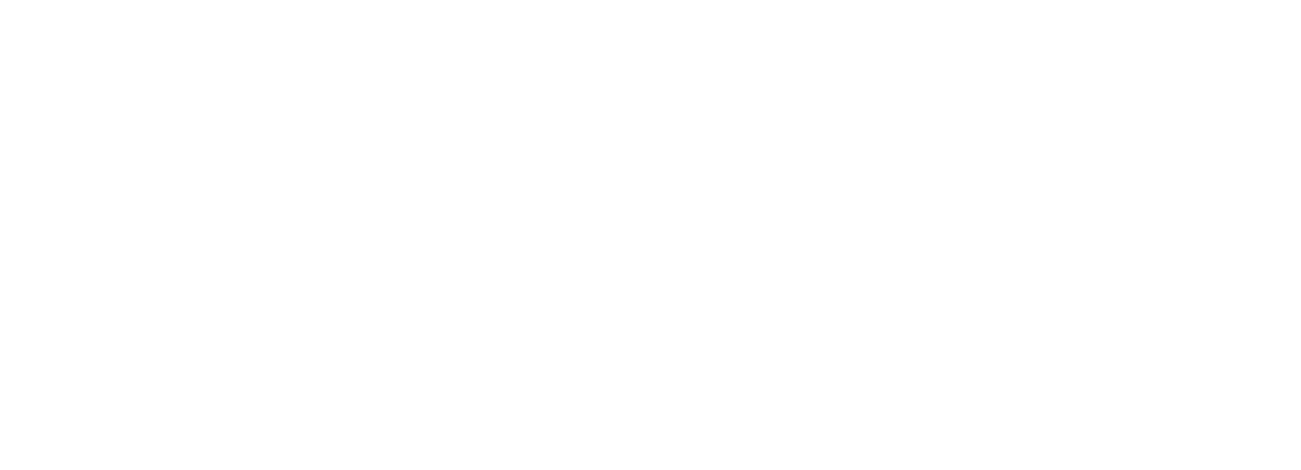 MindShift Mentors